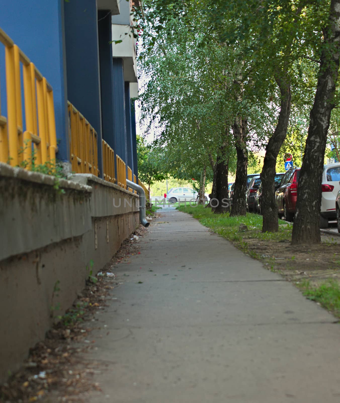 Sidewalk with buildings on left, trees and parking space on right by sheriffkule