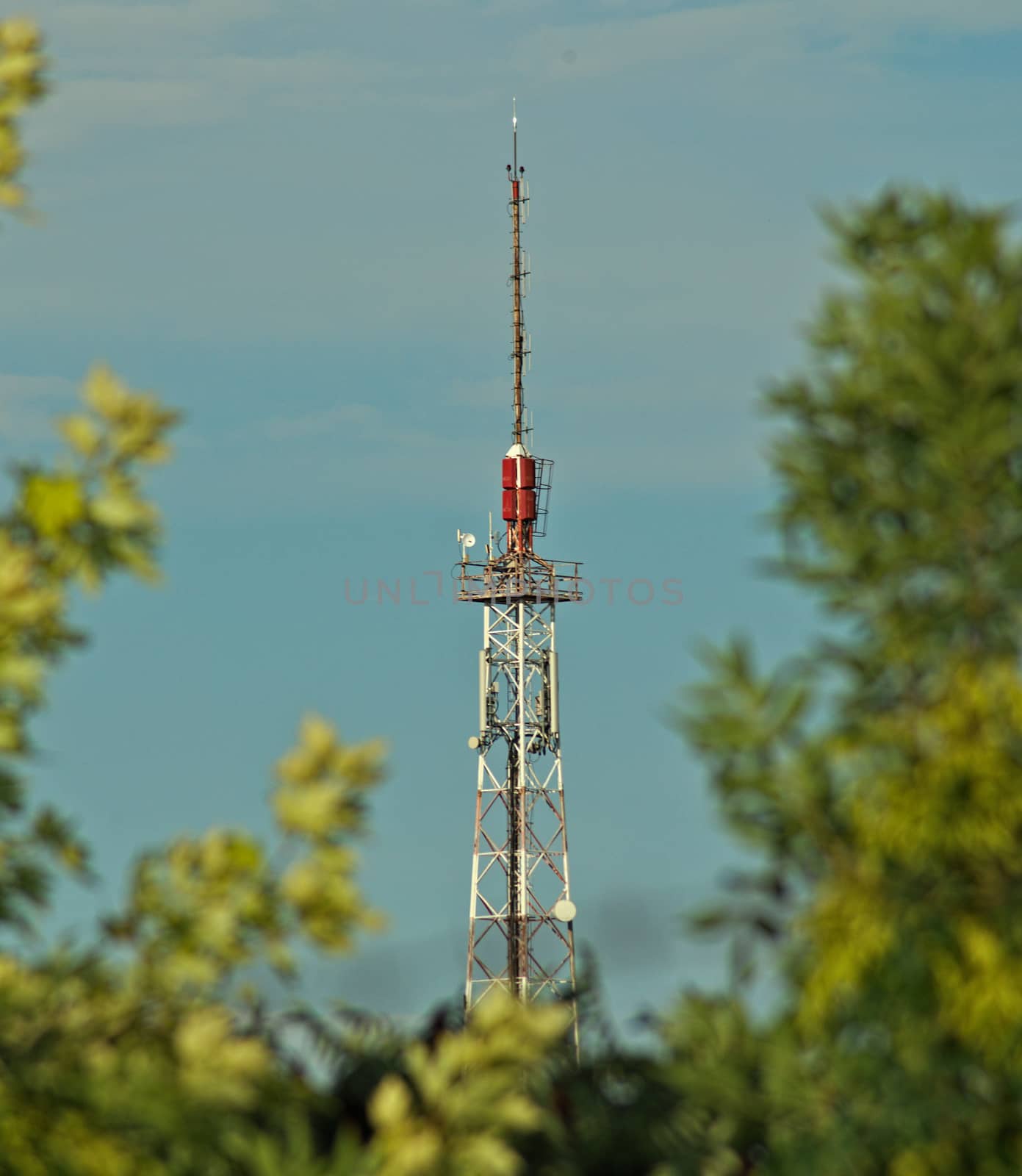 tall Radio tower in between tree branches by sheriffkule