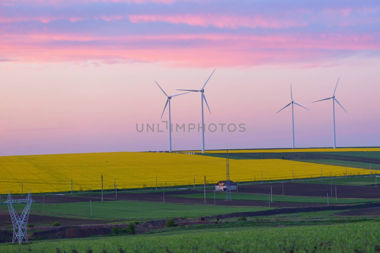 Eolian field and wind turbines at sunset