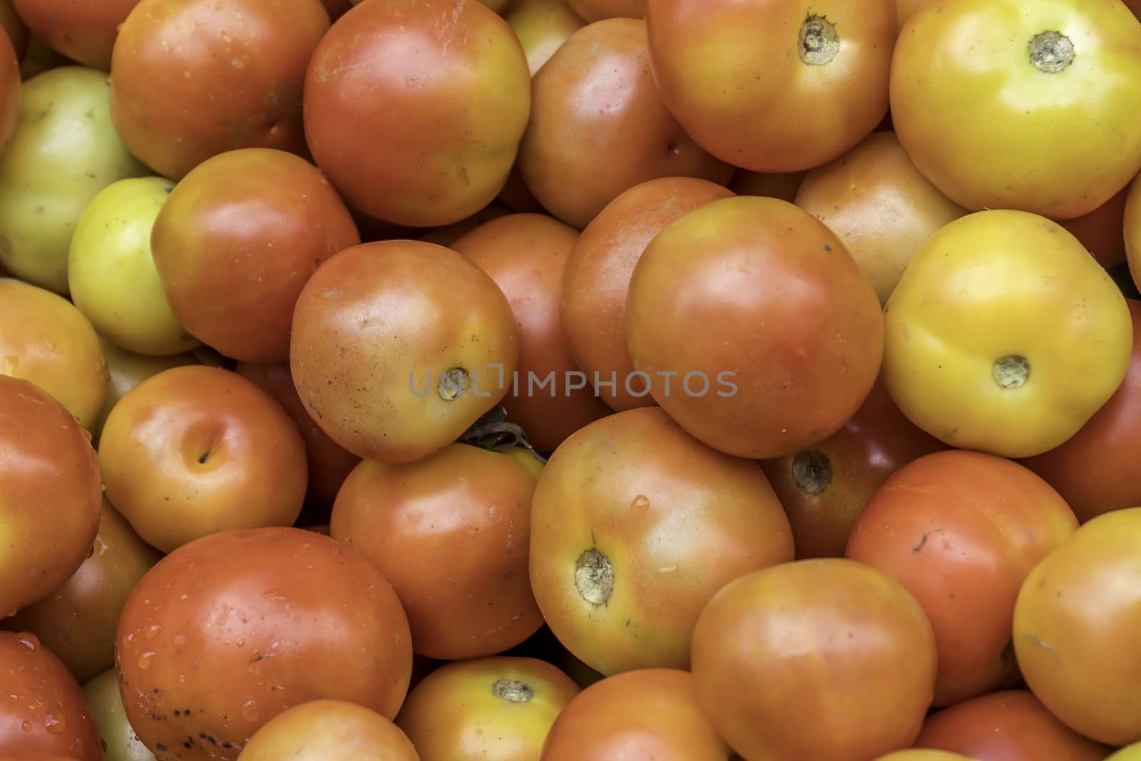 Ripe red tomatoes at the farmer's local market by sudiptabhowmick
