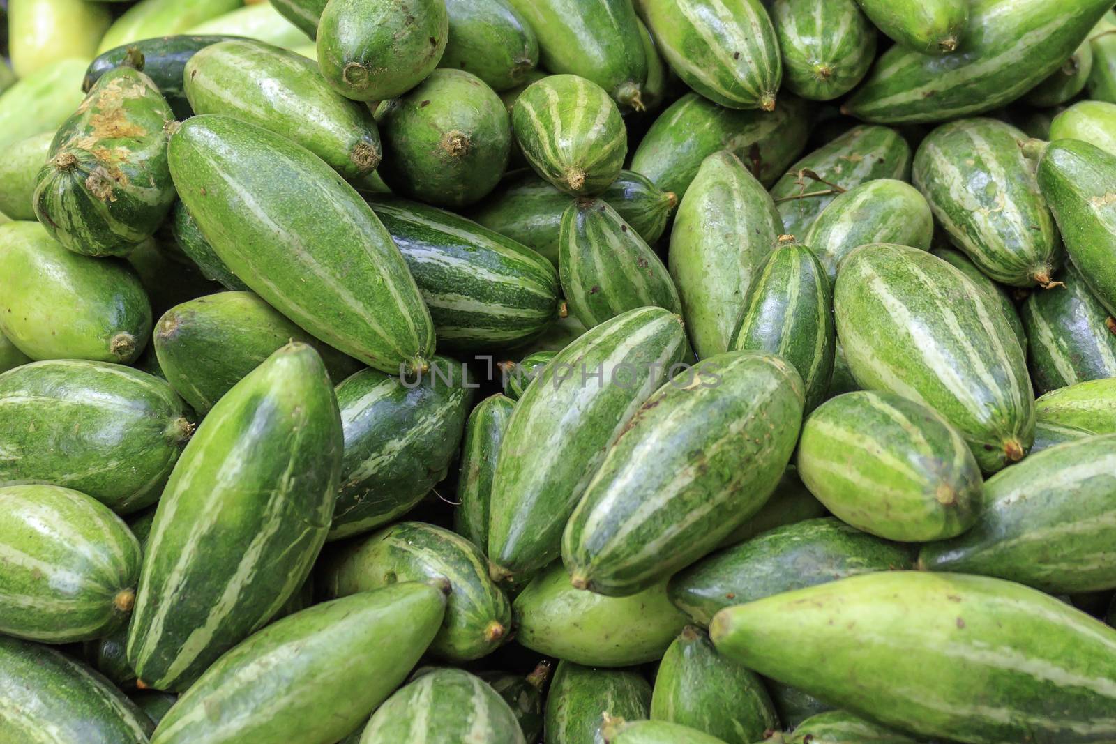 Indian vegetable-pointed gourd it is often called green potato.