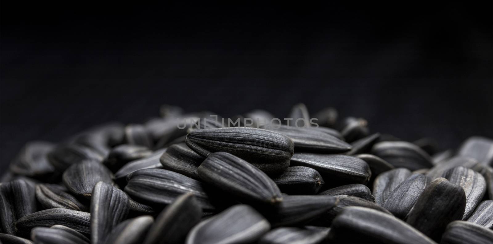 Heap of Sunflower seeds on black background. Copy space