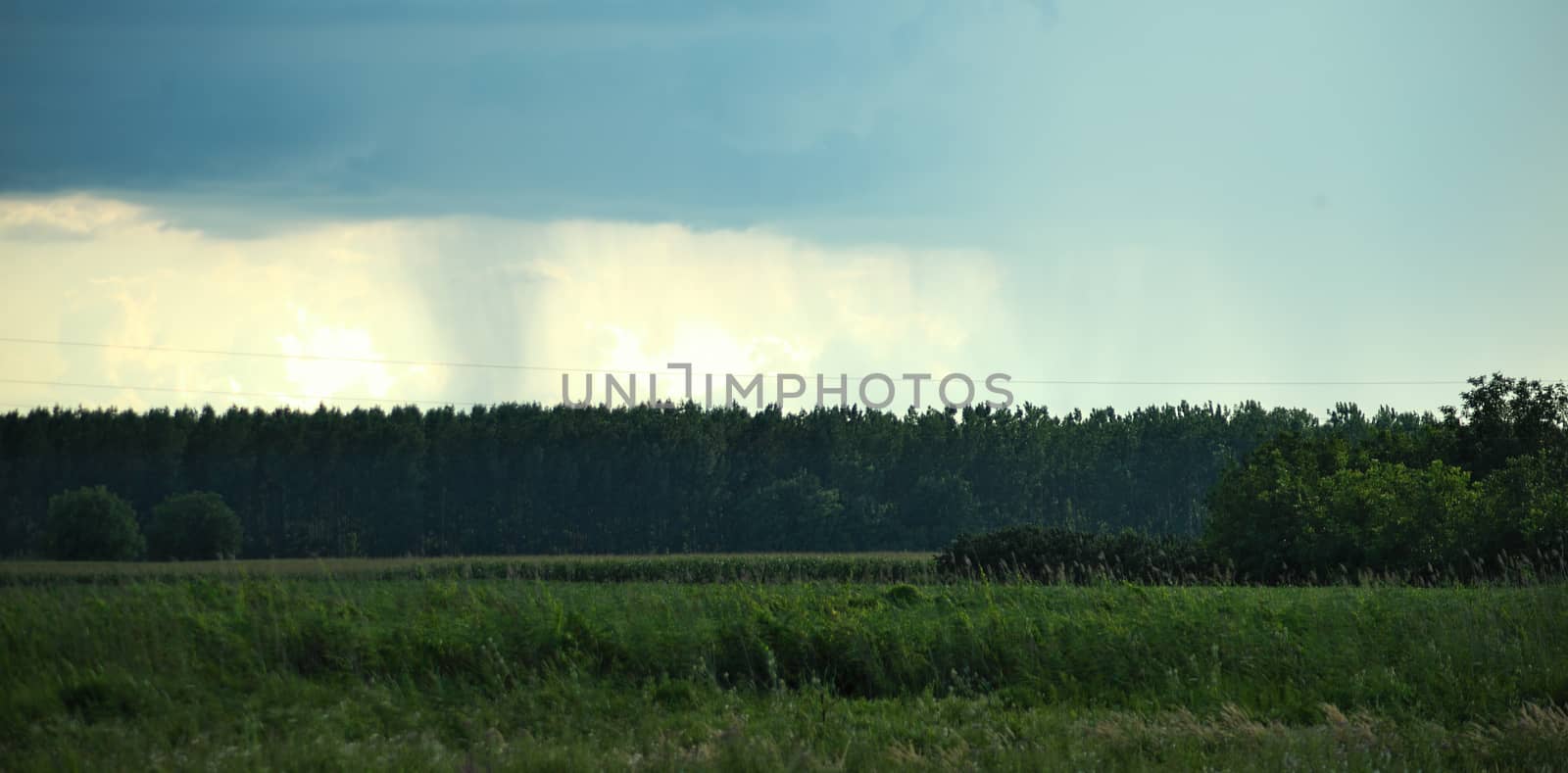 Clouds forming a storm over forest in distance by sheriffkule