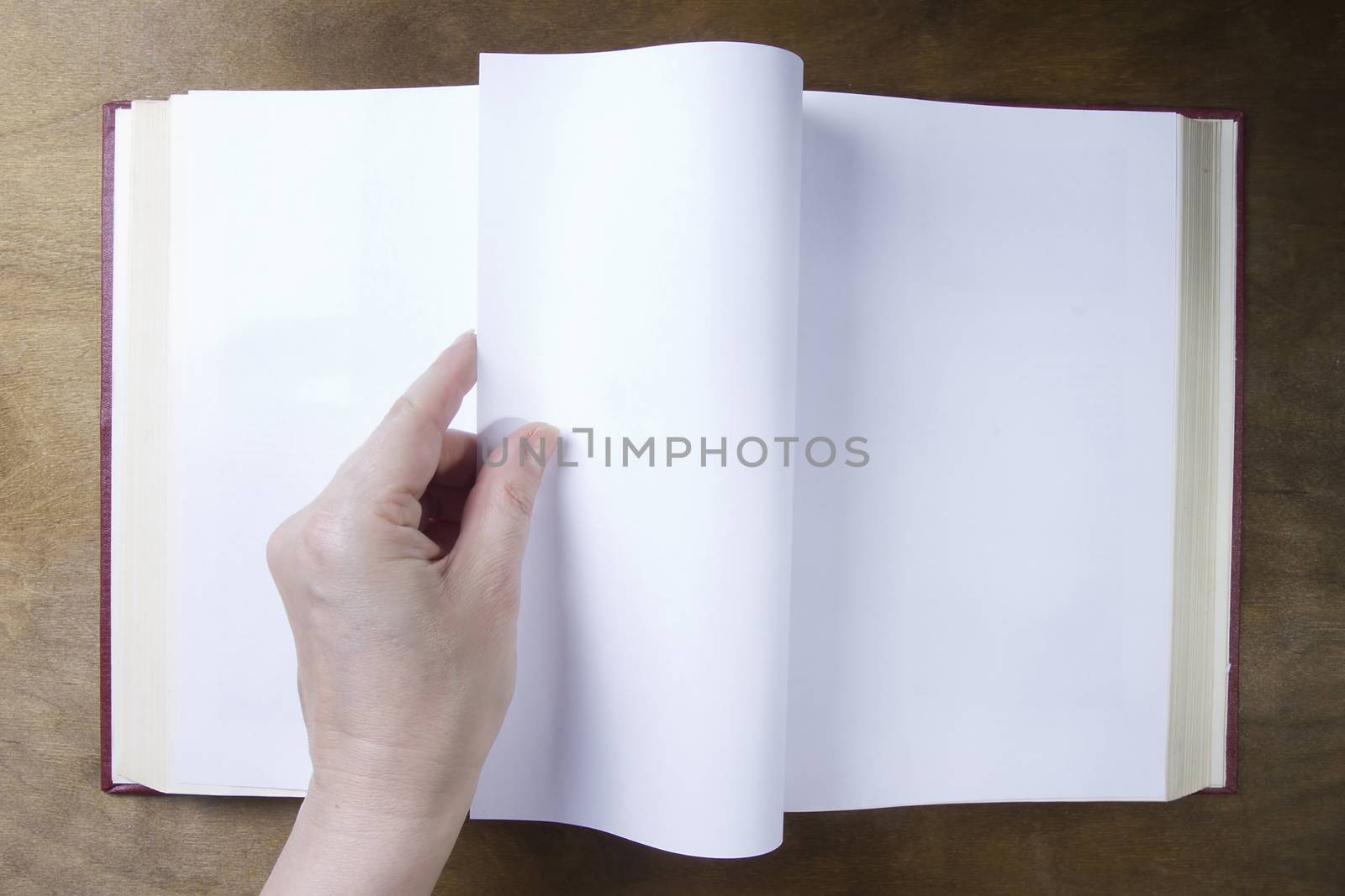 Hand turns a blank sheet of the book by VIPDesignUSA