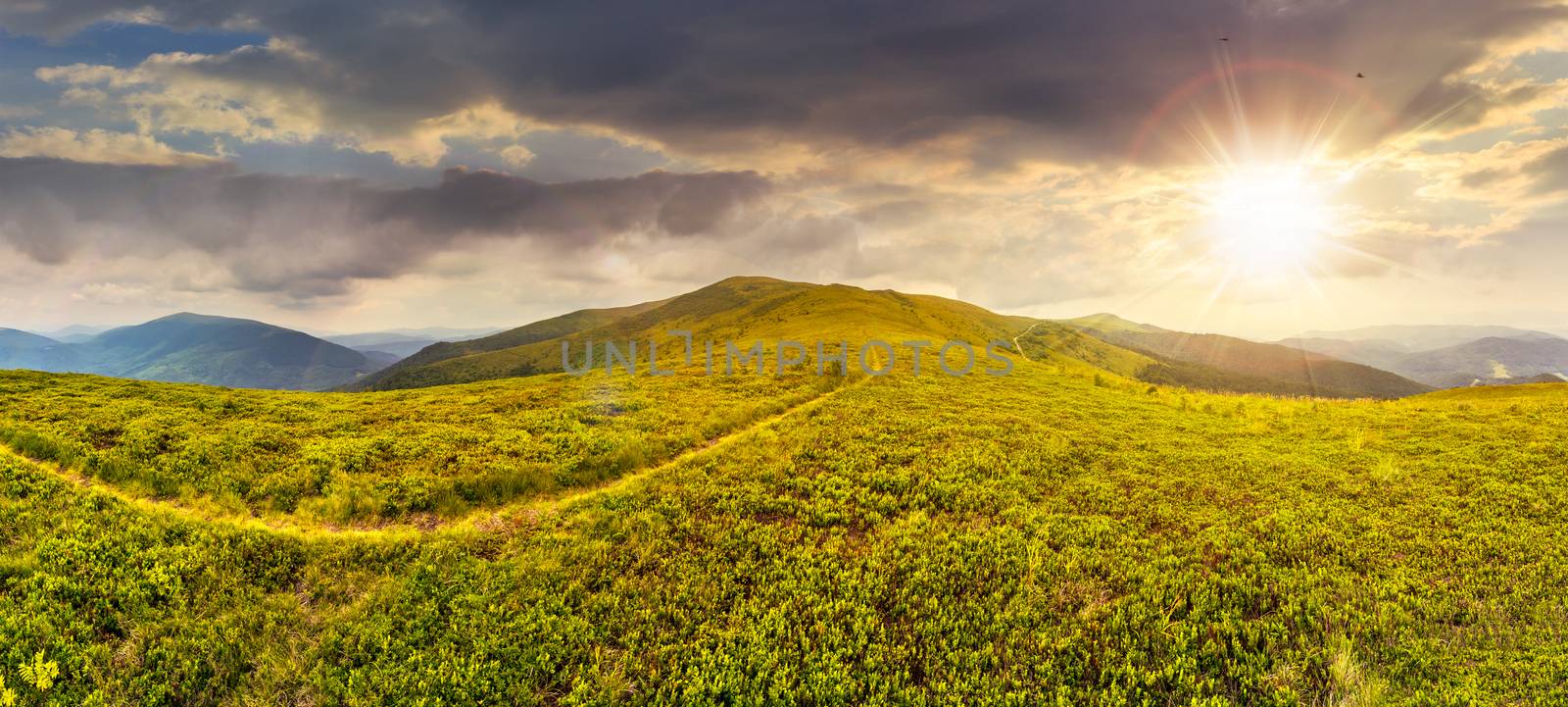 panoramic landscape with narrow meadow path in grass on top of mountain range in evening light