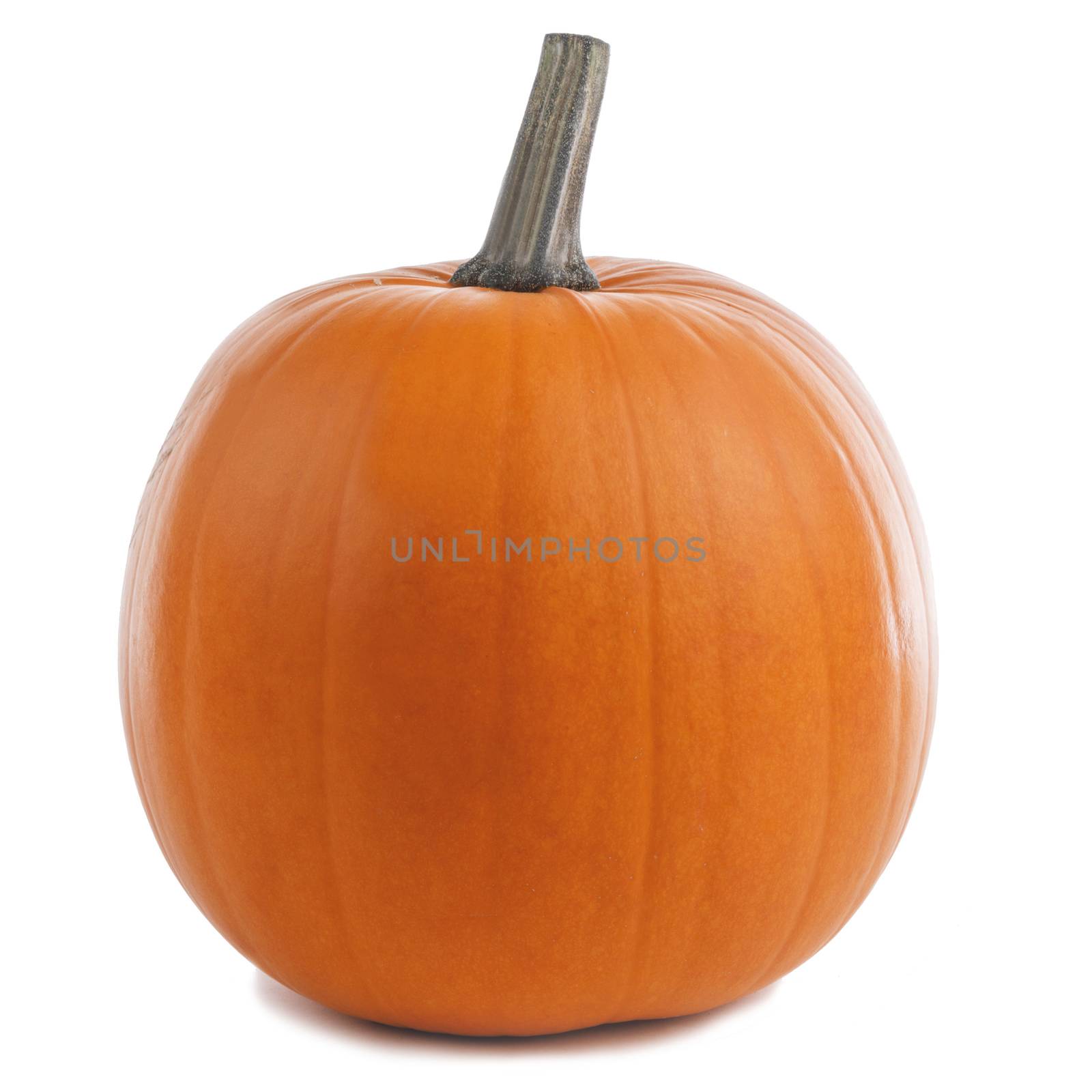 One orange pumpkin isolated on white background, Halloween concept