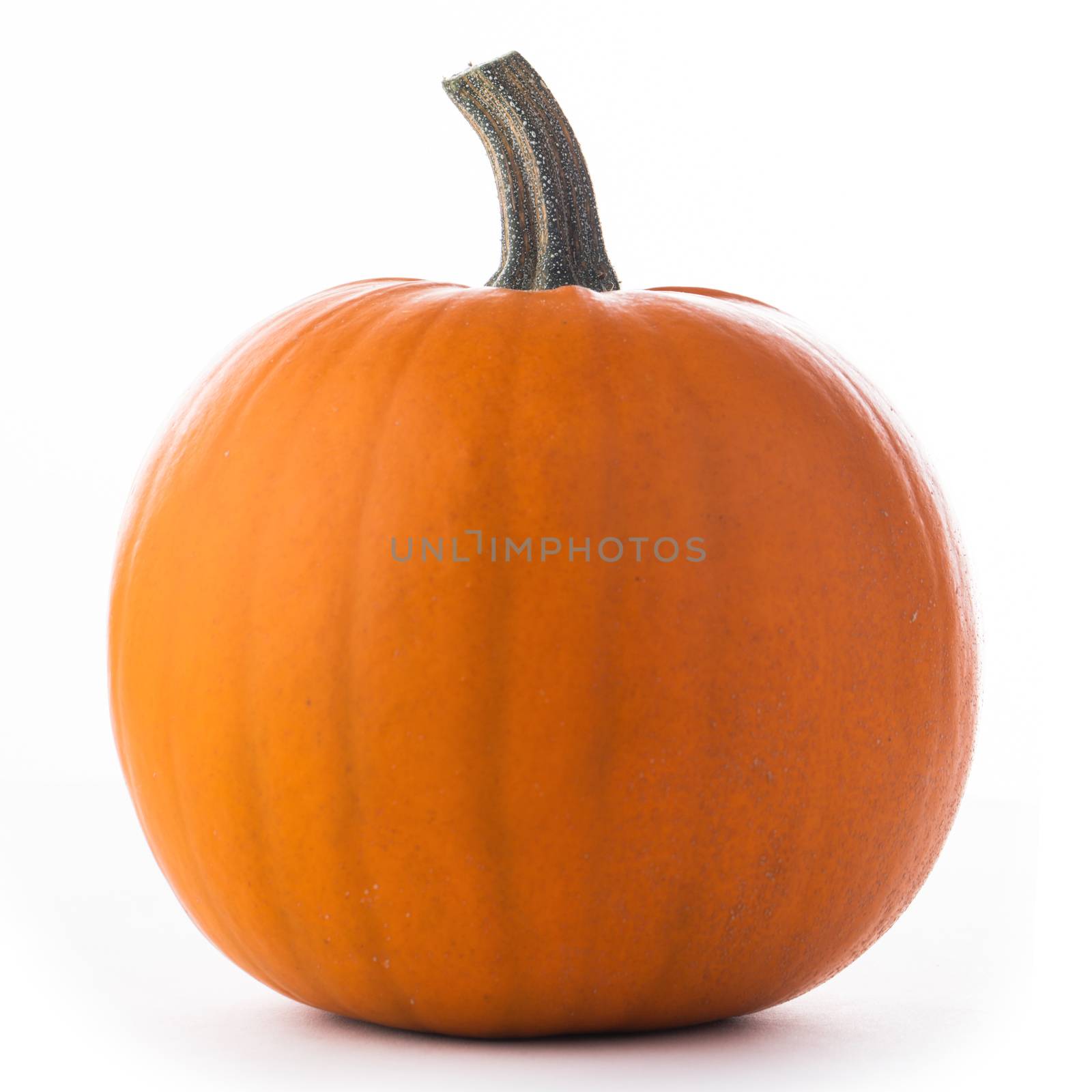 One orange pumpkin isolated on white background, Halloween concept