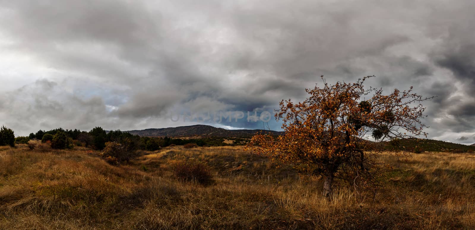 Autumn landscape panorama with grey dramatic sky