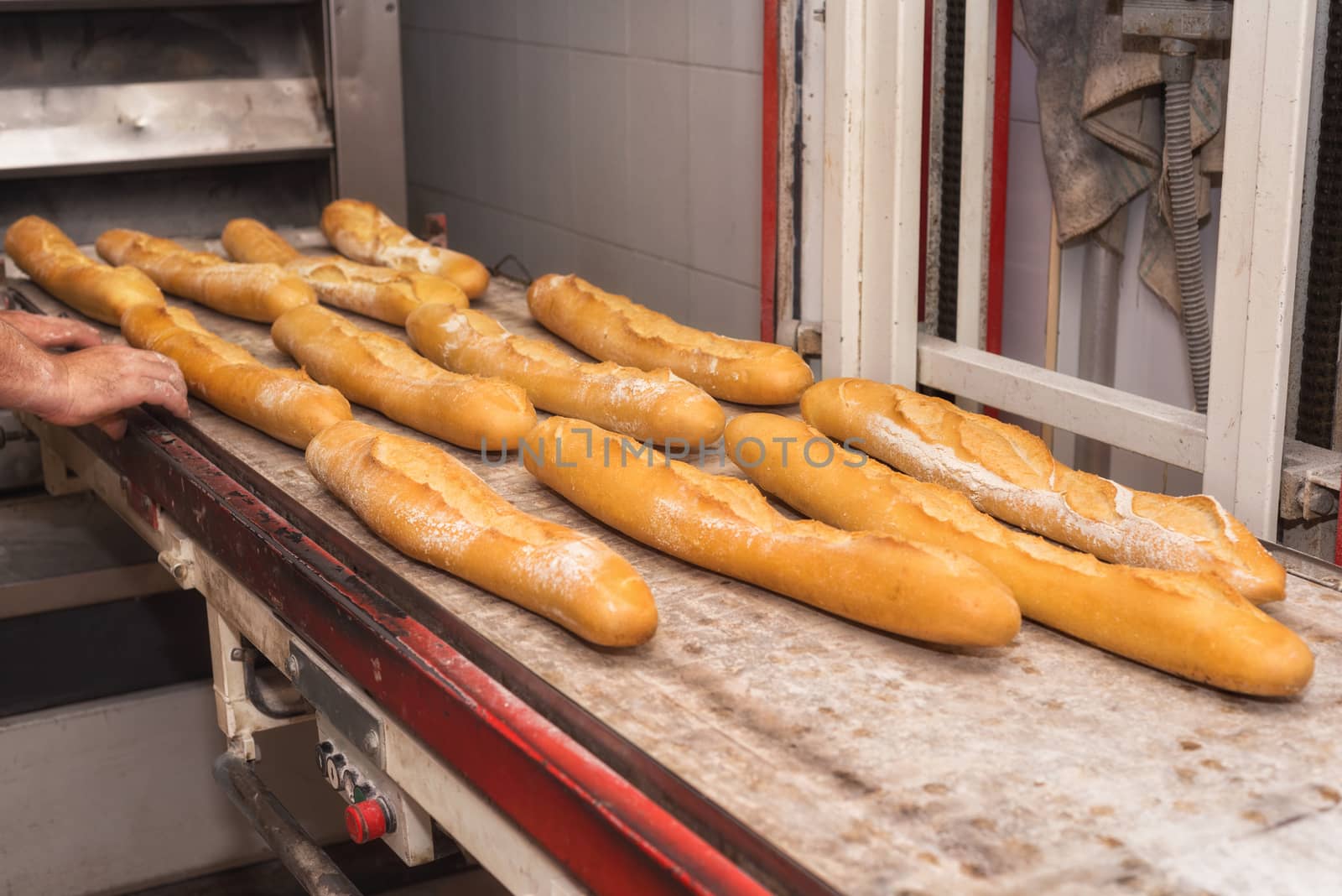 Baker taking out fresh baked bread from the industrial oven by HERRAEZ