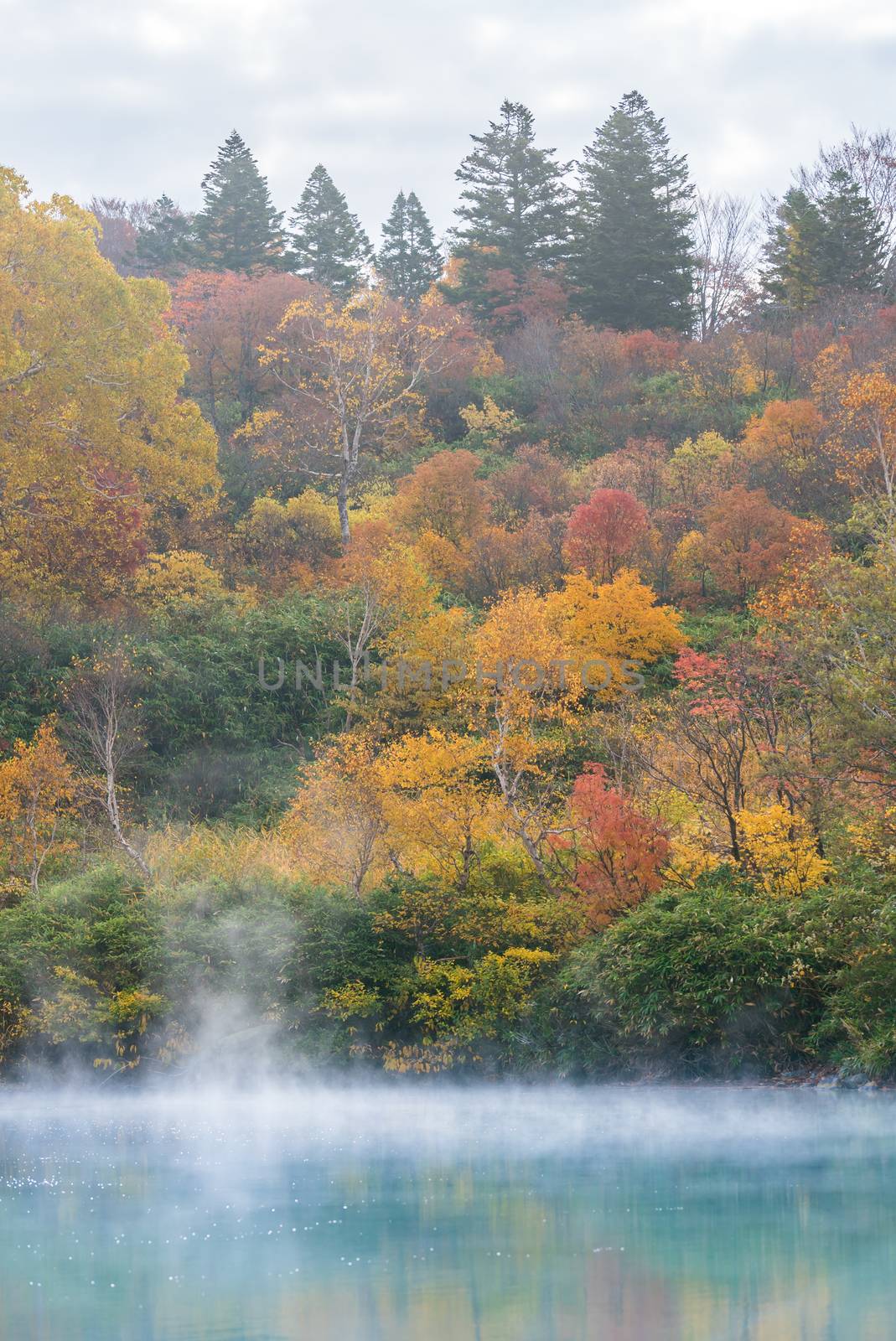 Autumn Onsen Lake Aomori Japan by vichie81