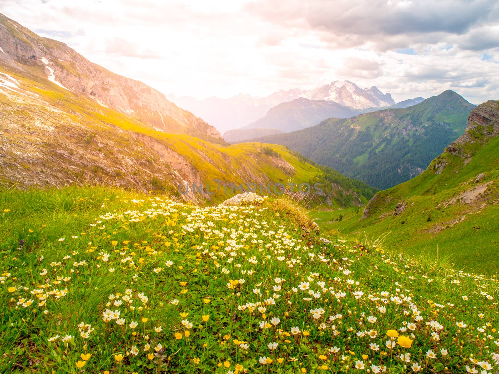 Landscape of Dolomites with green meadows, blue sky, white clouds and rocky mountains.