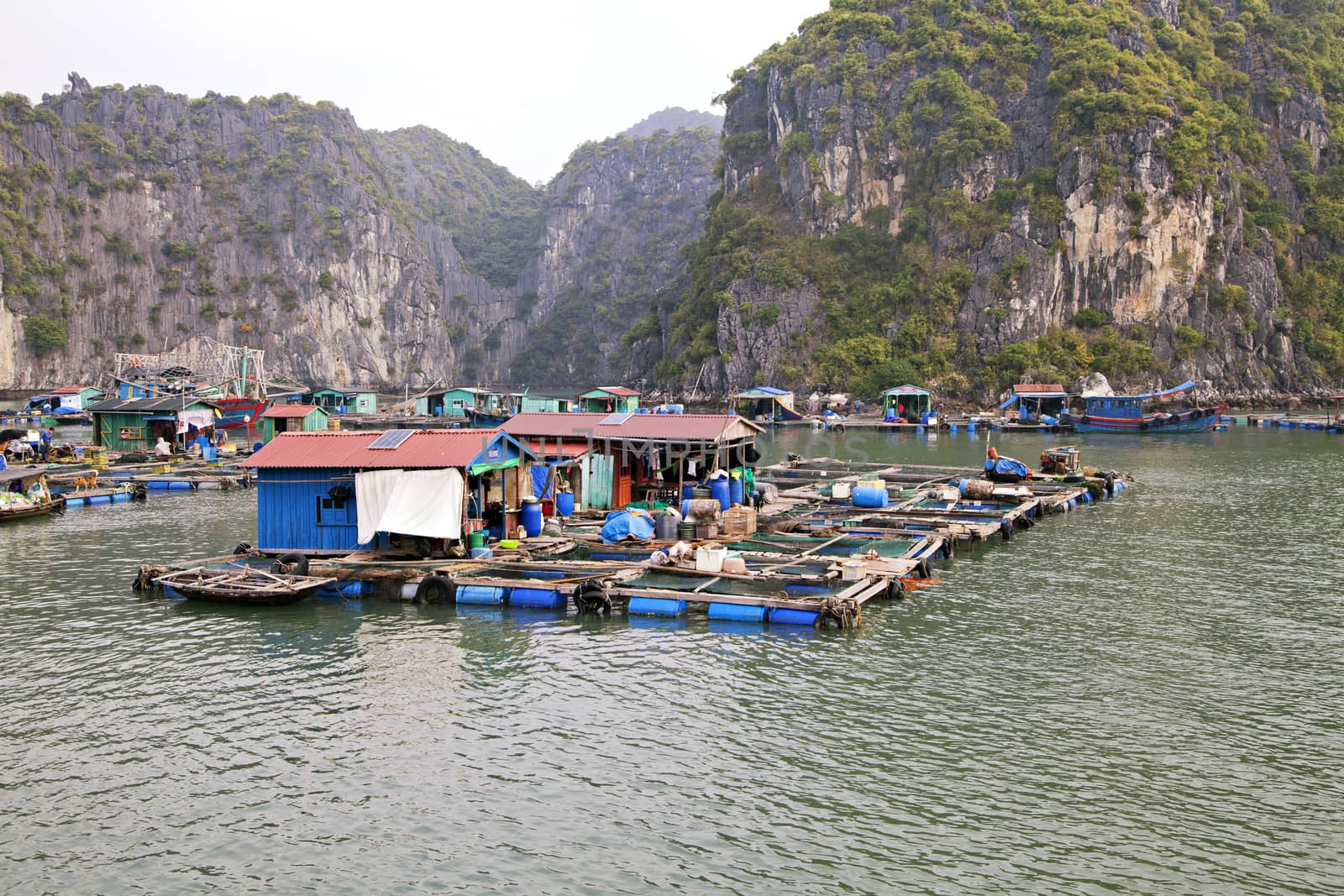 Floating village in Ha Long bay, Vietnam