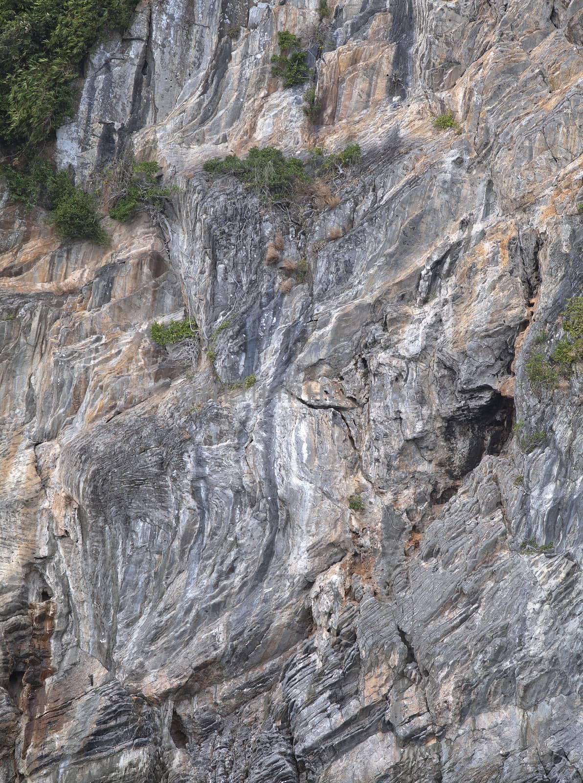 Mountain wall with trees on a sunny day