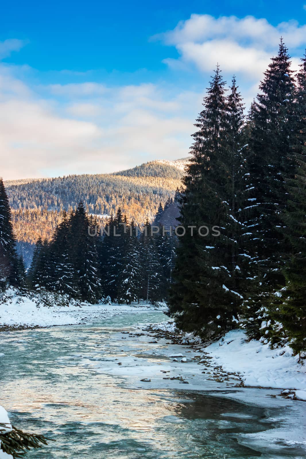 frozen river in forest by Pellinni