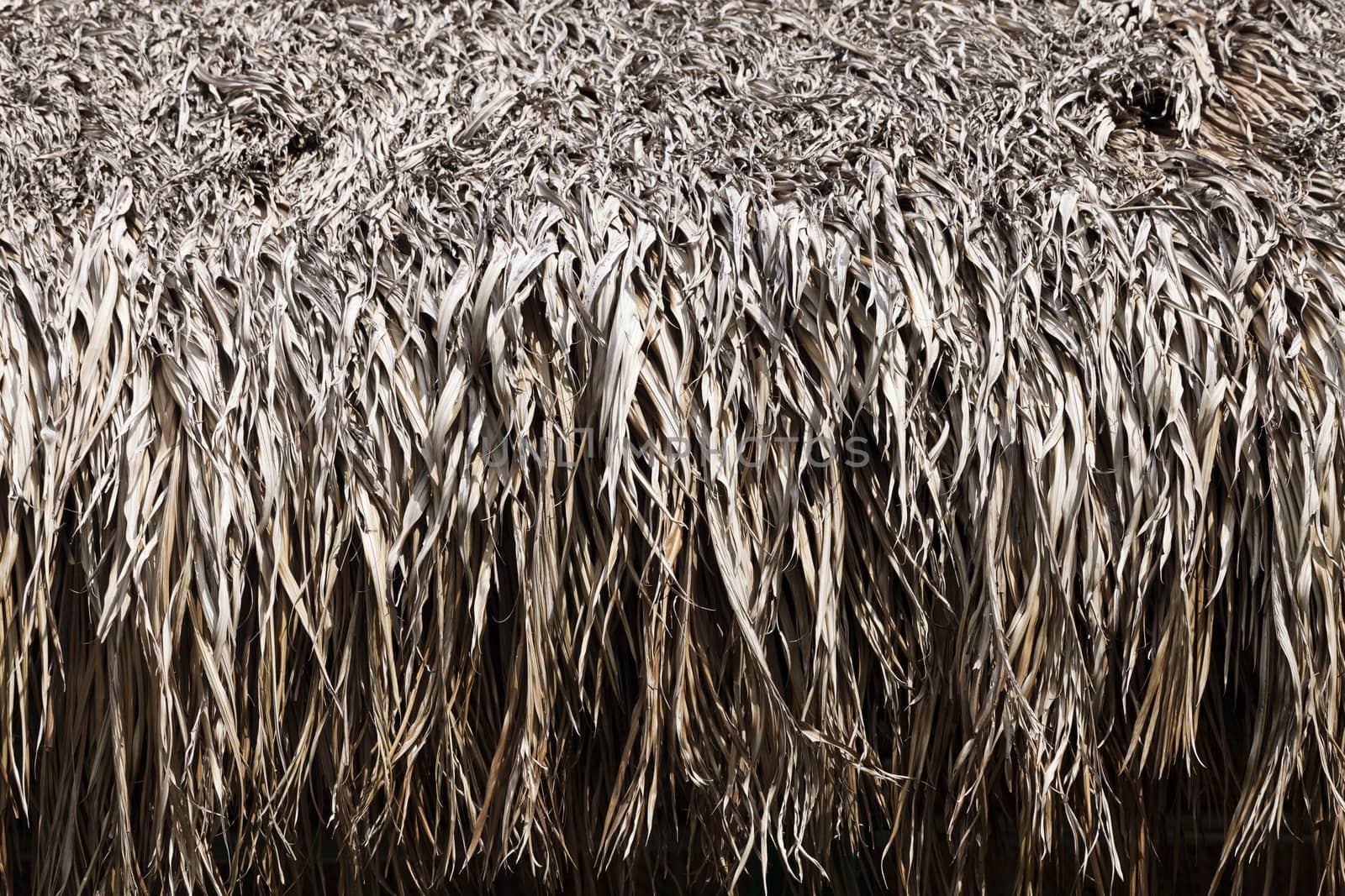 Close up of thatched roof for texture or background