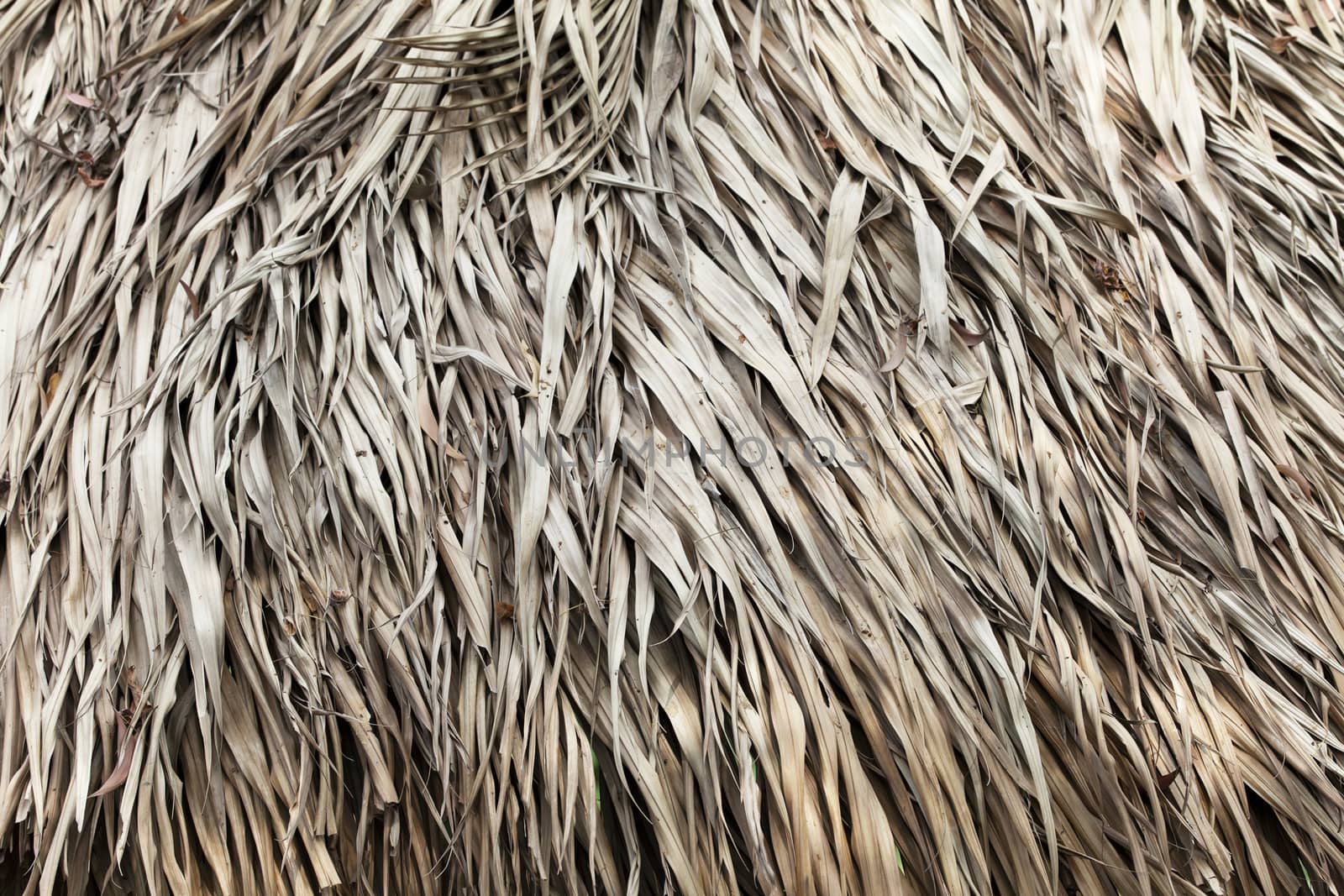 Close up of thatched roof for texture or background