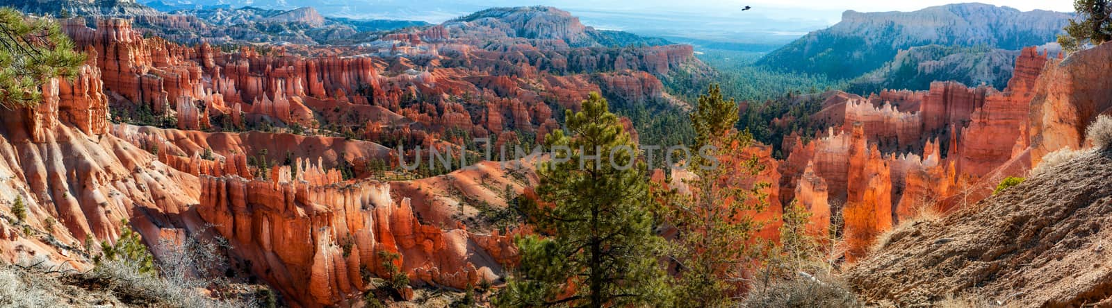 Bryce Canyon Panorama by phil_bird