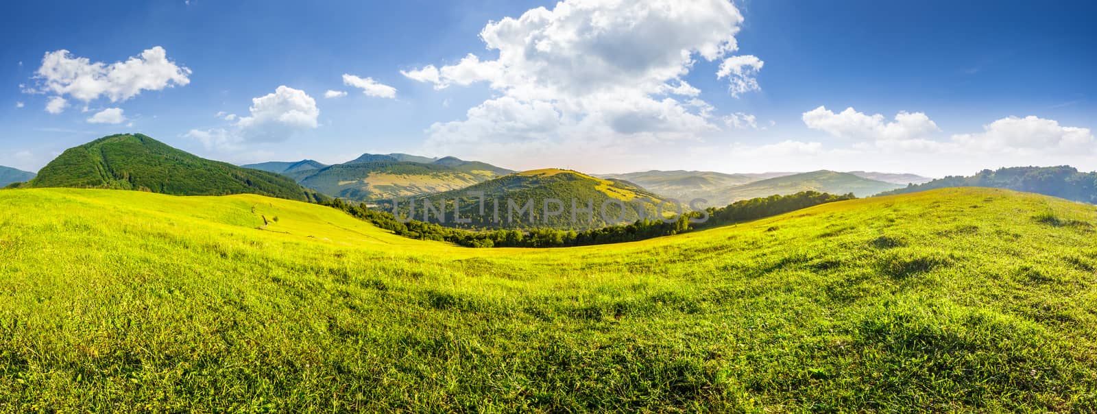 hillside meadow in high mountains by Pellinni