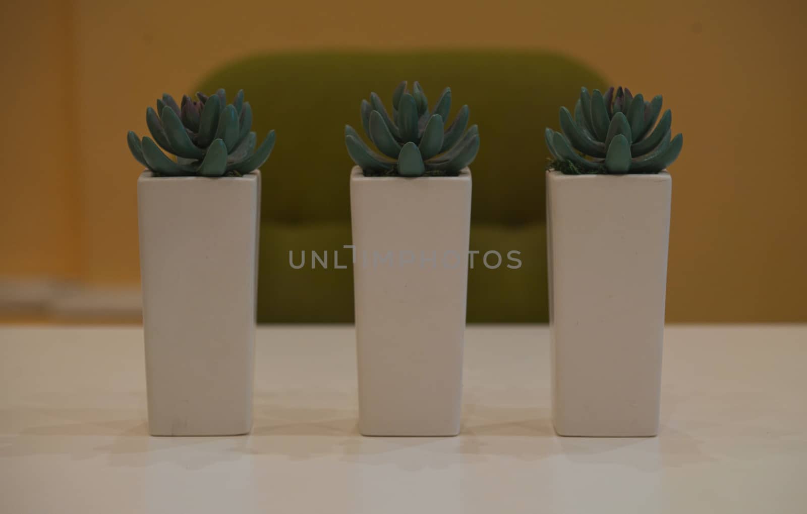 Three flowerbeds with plastic plants on white table in front of a chair by sheriffkule