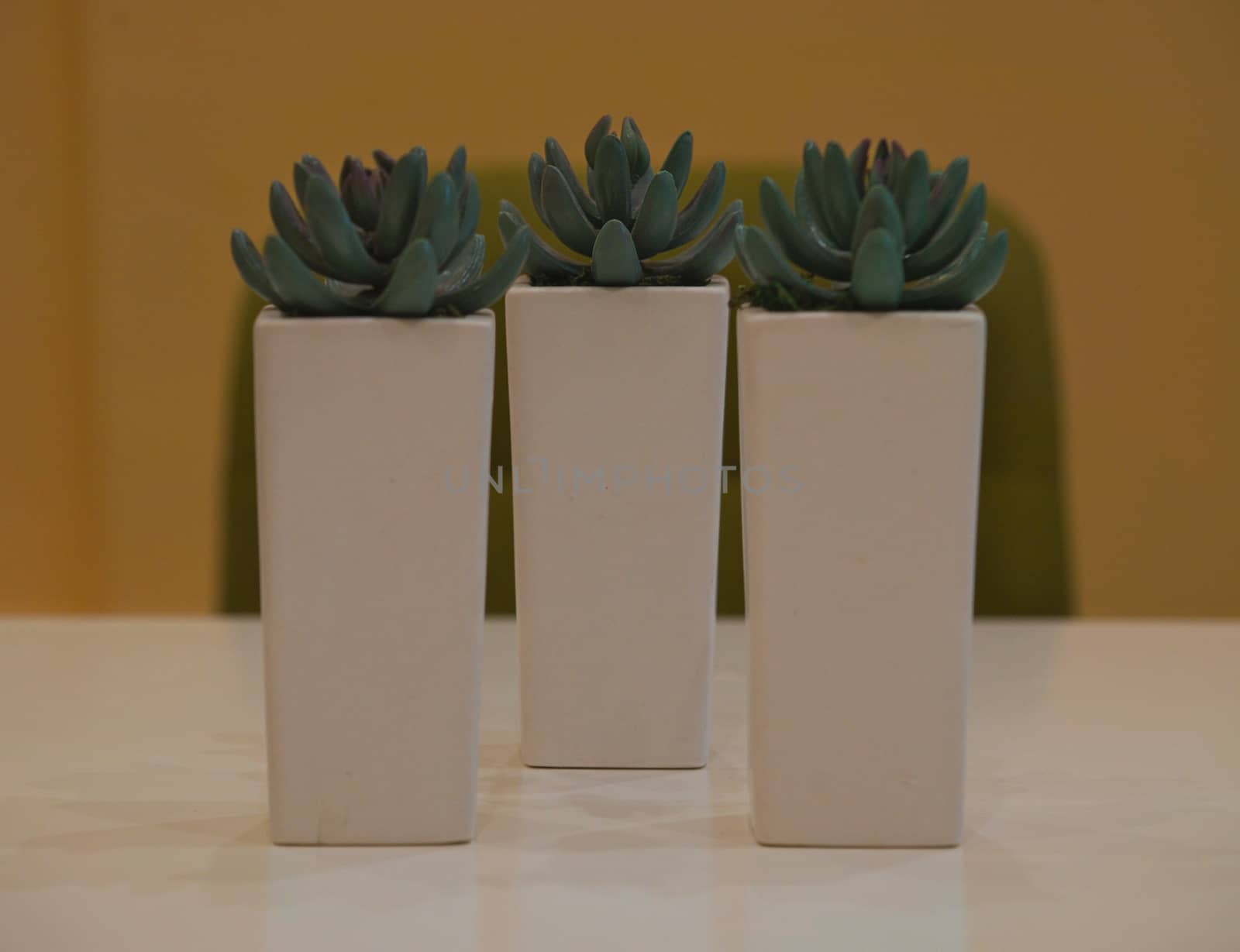 Three flowerbeds with plastic plants on white table in front of a chair by sheriffkule