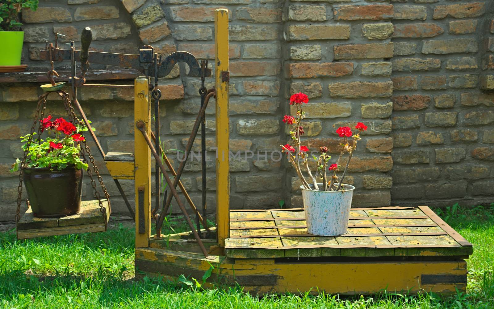 Old rustic vintage scale with flowering plants on it