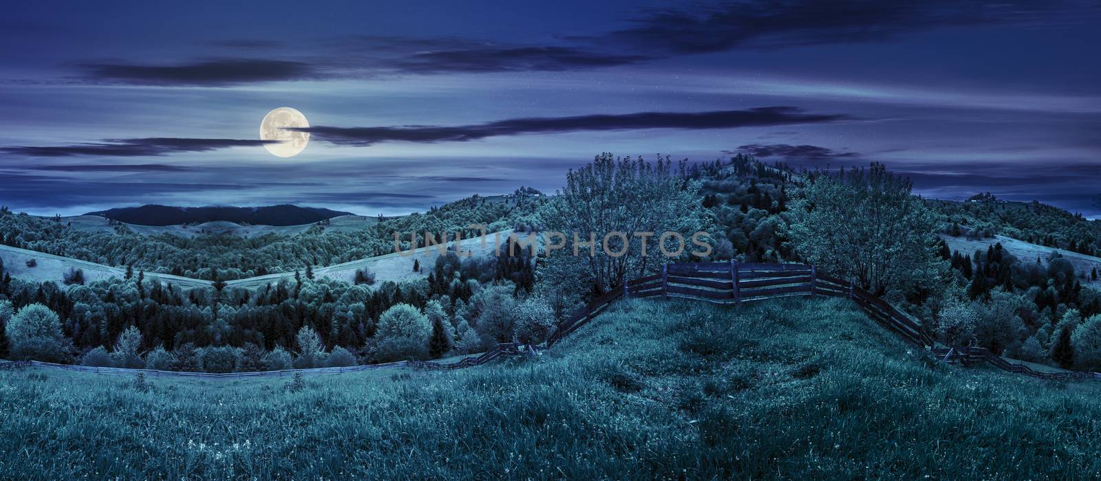 summer panorama landscape. fence on the hillside meadow  near the forest in fog on the mountain at night in full moon light