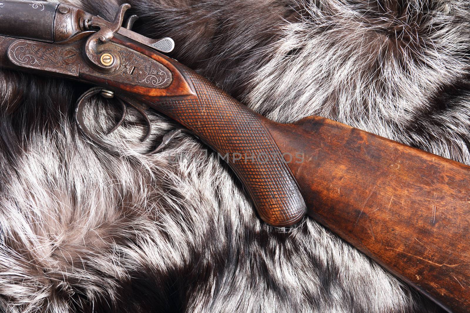 Ancient hunting shotgun on gray fur background