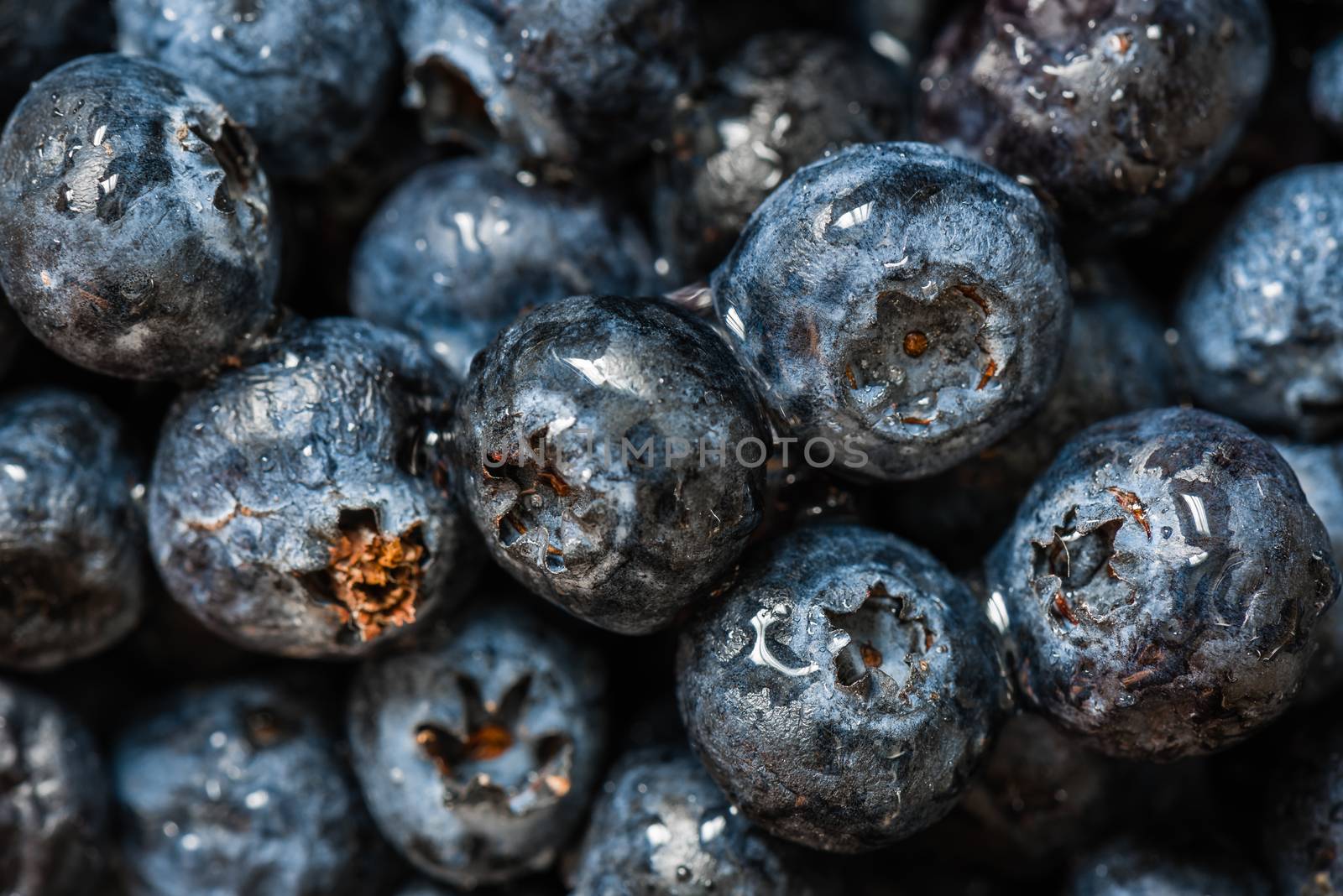 Ripe blueberries with water drops background. Horizontal.