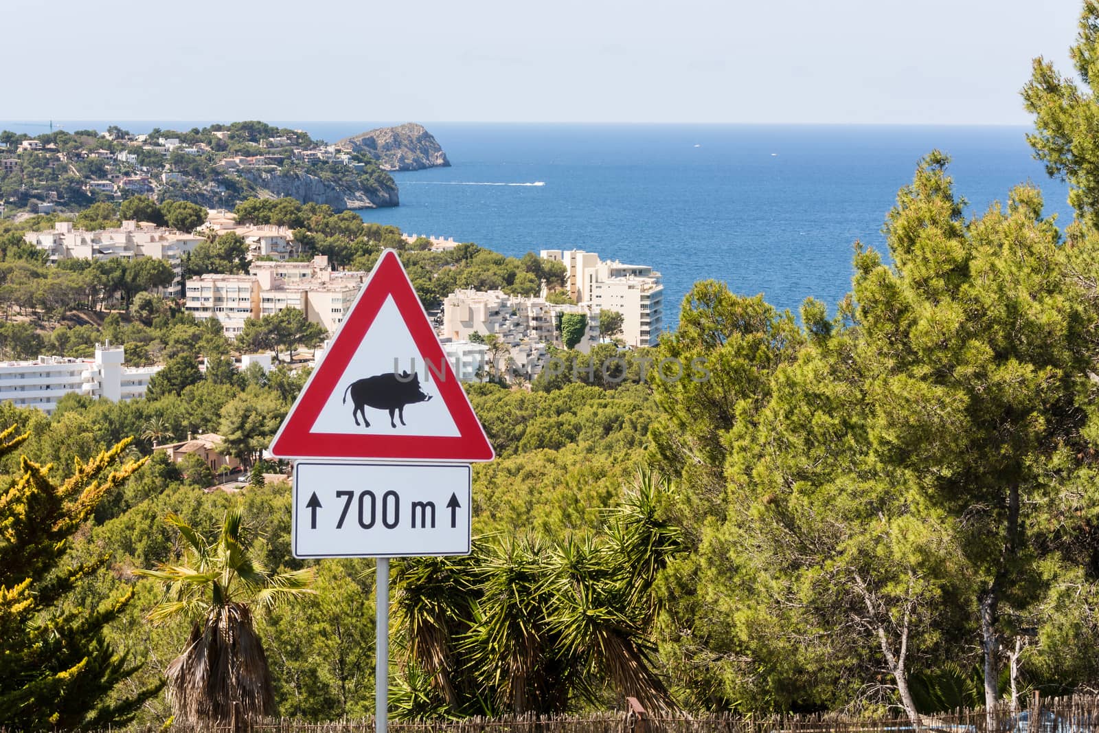 Attention - Boar - traffic sign, Spain, Europe by JFsPic