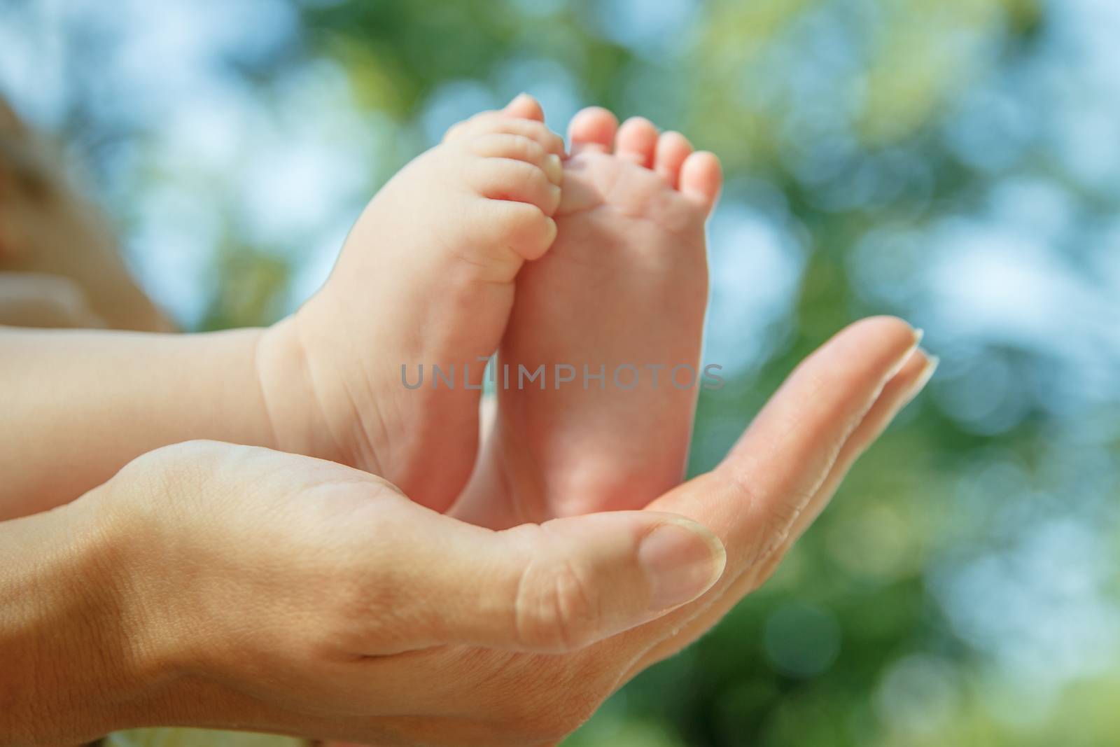 Mother holding bare baby feet outdoor over green