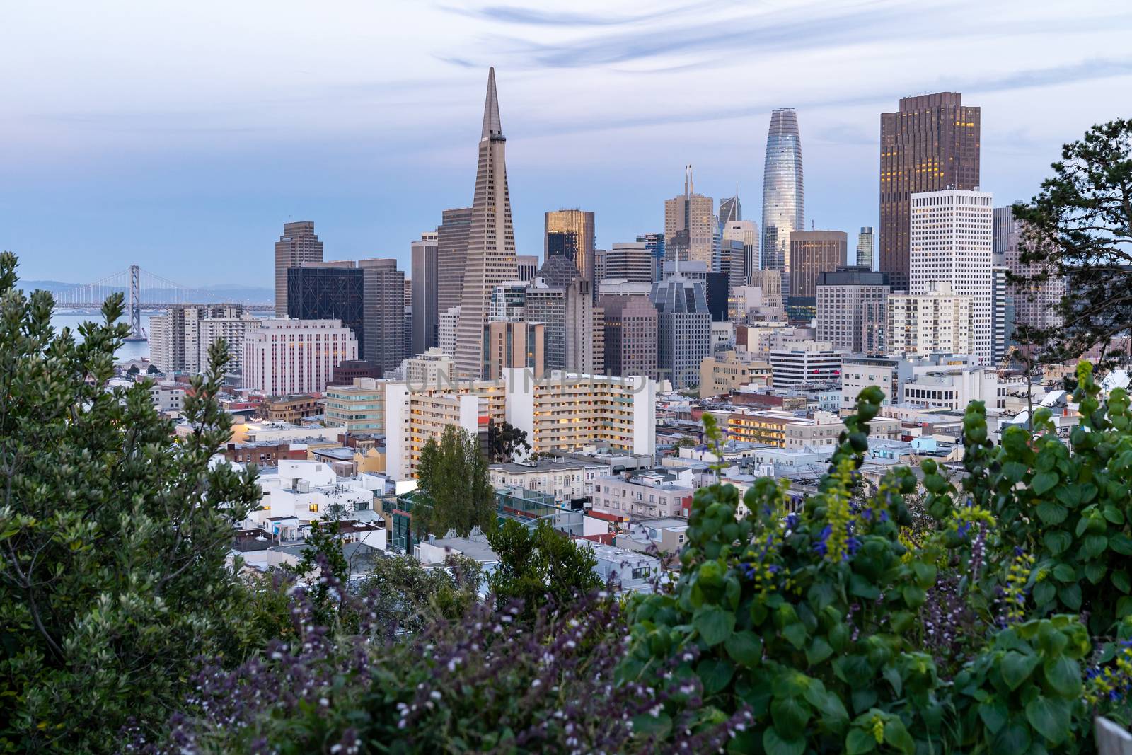 San Francisco downtown skyline Aerial view at sunset from Ina Coolbrith Park Hill in San Francisco, California, USA.