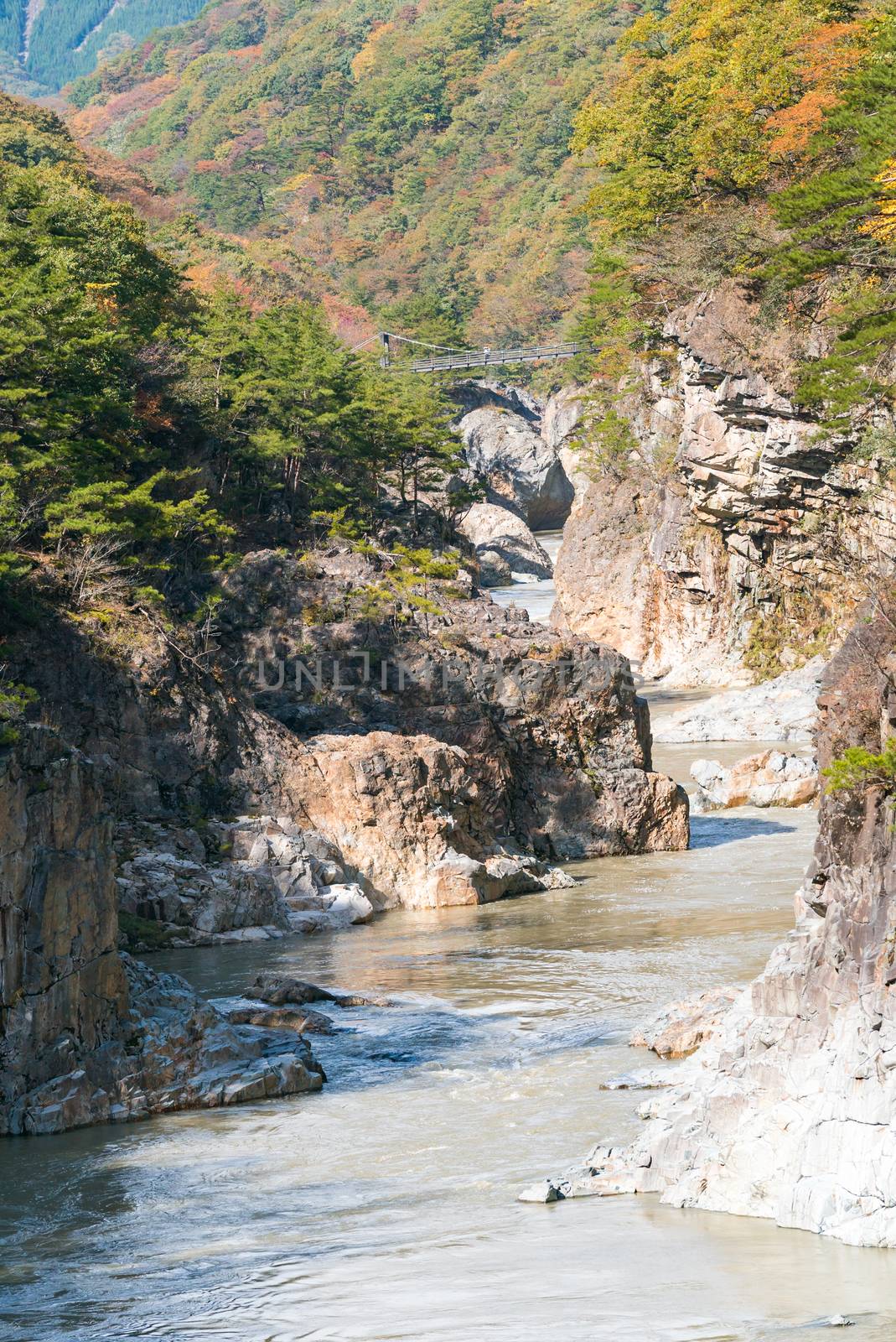 Ryuyo Gorge canyon Nikko Japan by vichie81