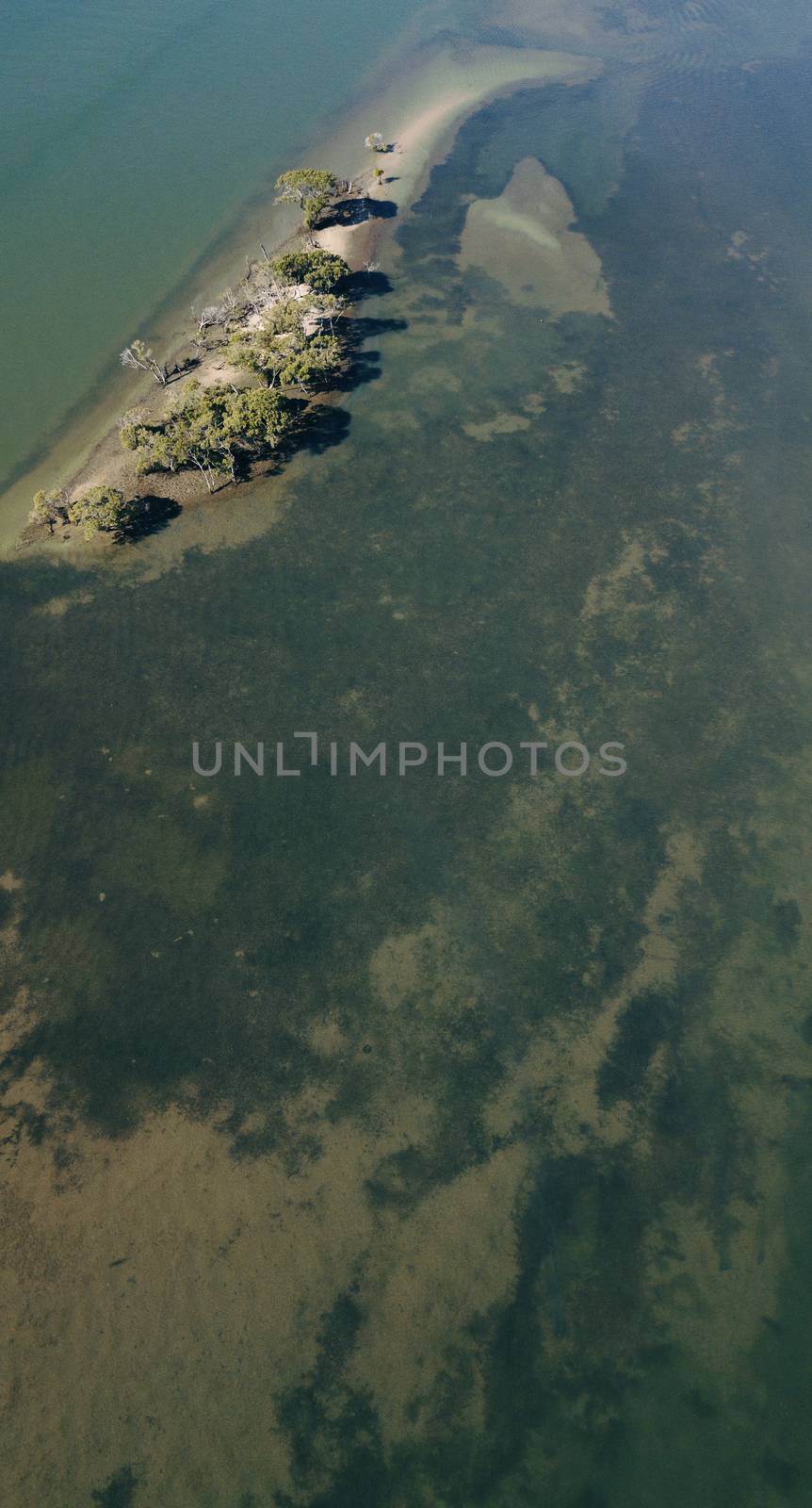 Lions Park beach at Jacobs Well. by artistrobd