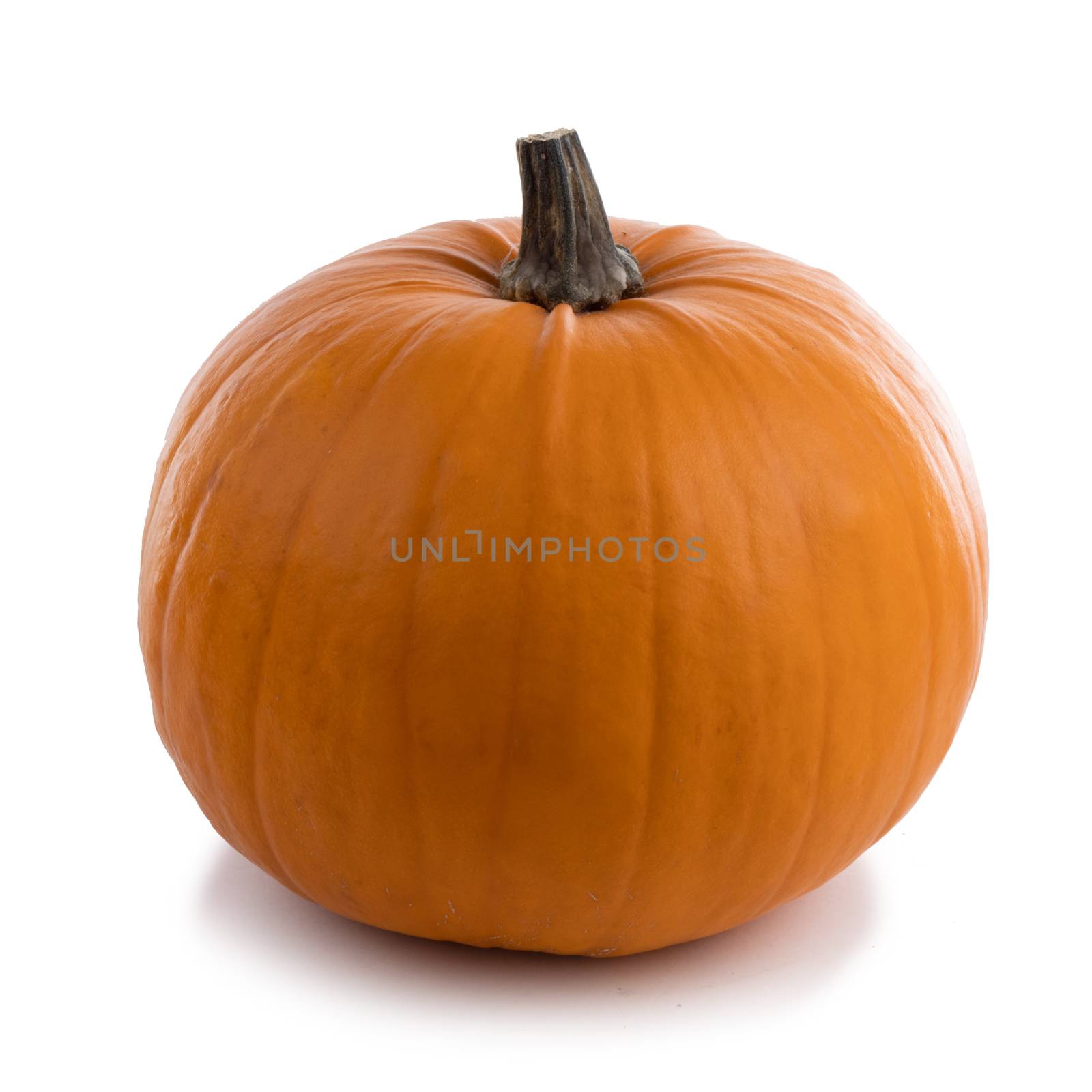 One orange pumpkin isolated on white background, Halloween concept