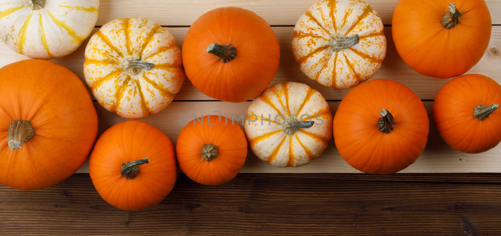 Many orange pumpkins on wooden background, Halloween concept, top view with copy space