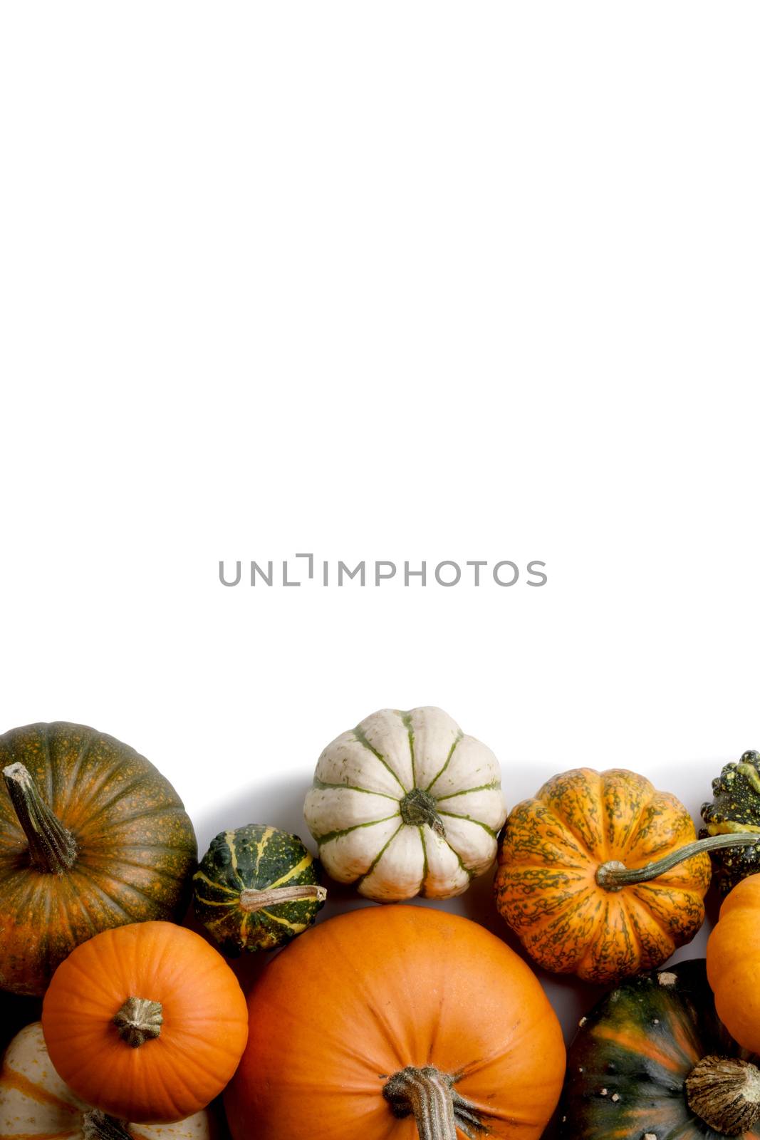 Many colorful pumpkins frame isolated on white background, autumn harvest, Halloween or Thanksgiving concept