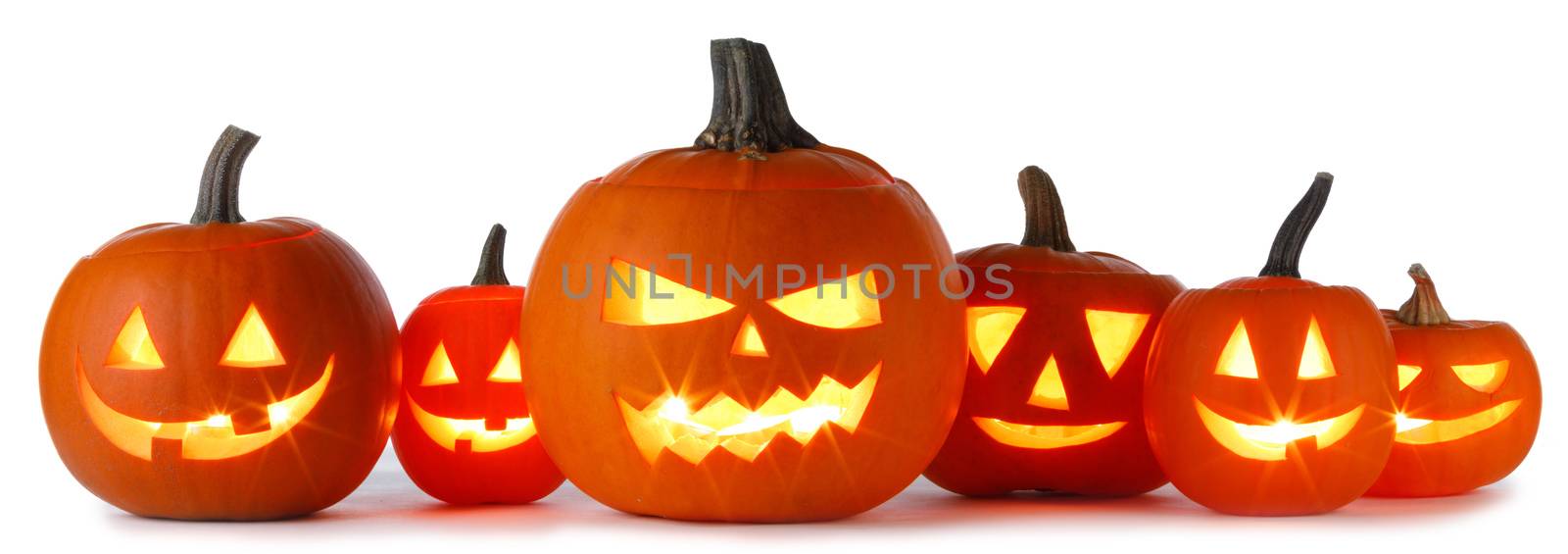 Halloween Pumpkins on white by Yellowj