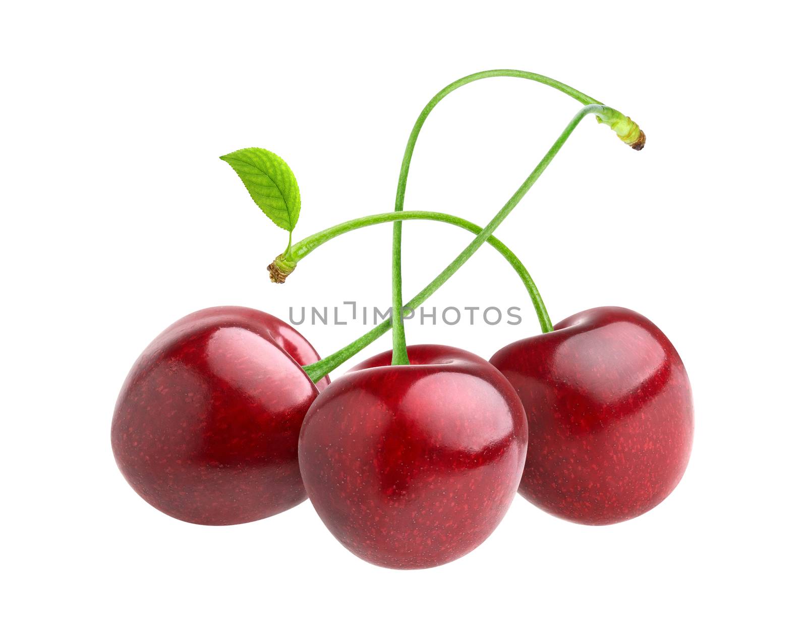 Cherries isolated on white background with clipping path by xamtiw