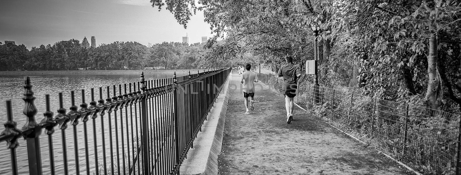 Jogging in Central Park, New York City, USA by marcorubino
