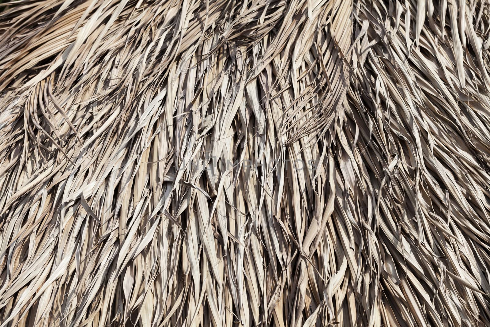 Close up of thatched roof for texture or background