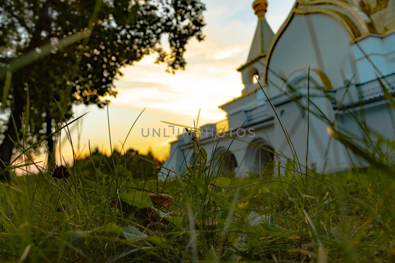 Mushroom in green grass in the grass against the temple of St. Seraphim of Sarov in Khabarovsk. Sunset. Orange and yellow sky.