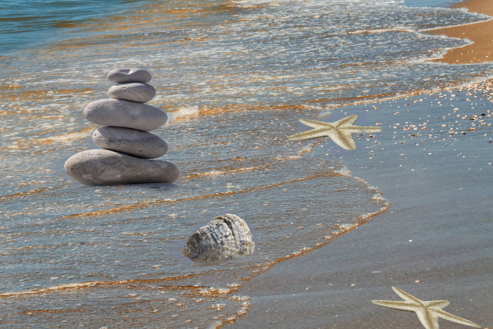 So-called strandgut on a sandy beach