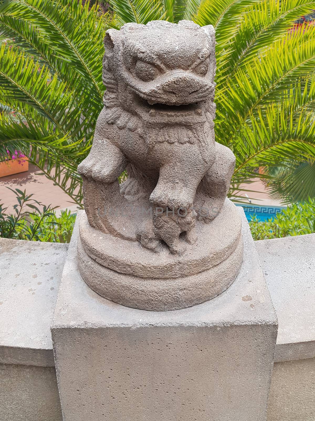 Ancient Chinese Emperor lion statue on a stone pedestal in the background beautiful green palm trees a finca with a swimming pool.