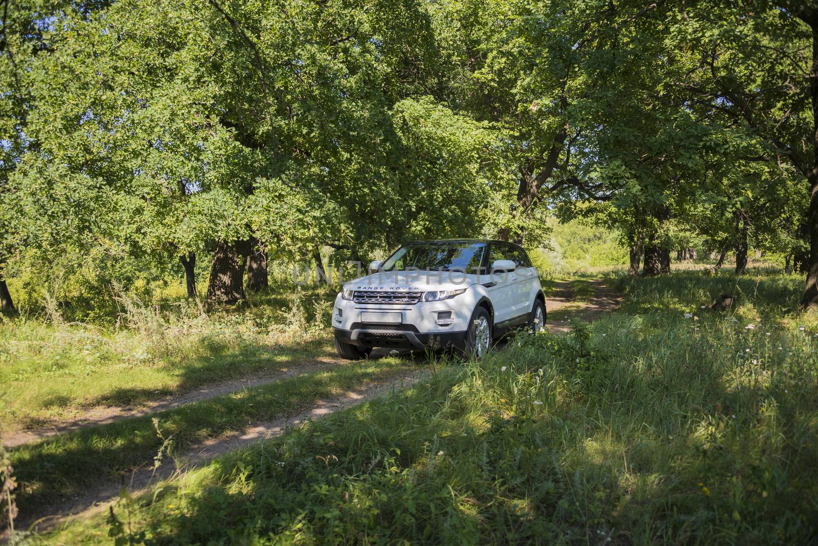 Car Land Rover Range Rover in summer Sunny weather in the summer landscape of the Samara region, Russia. August 21, 2018 by butenkow