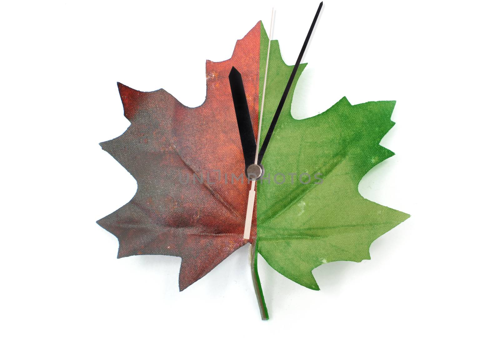 Autumn maple leaf partially green and red time change clock 