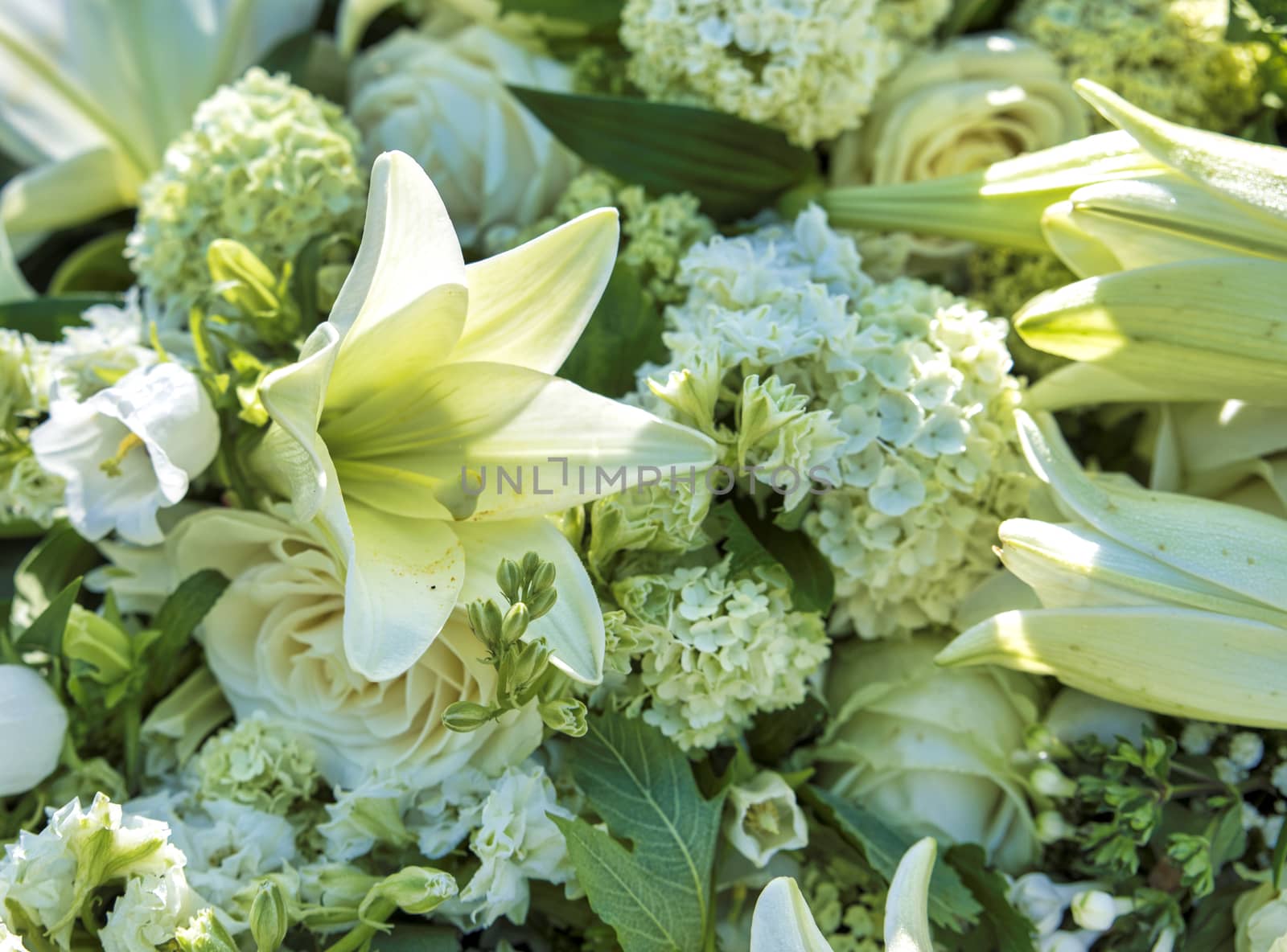 white funeral flowers with green leaves