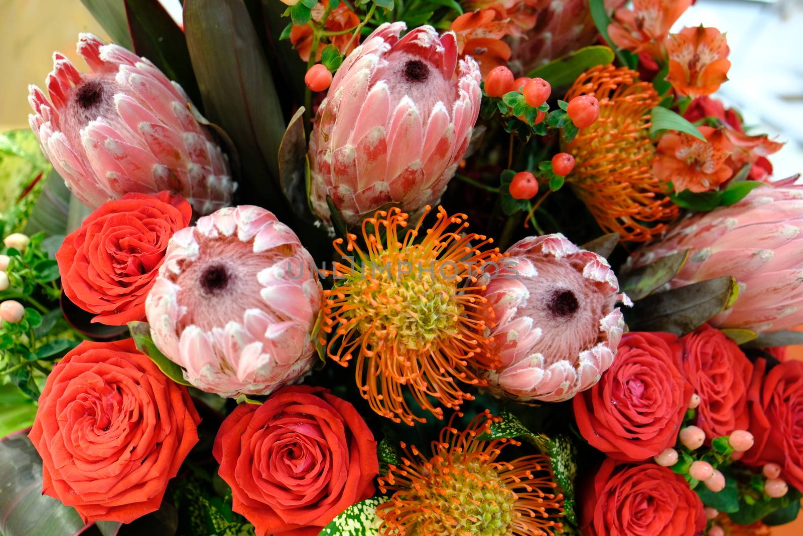 Luxury bouquet of fresh flowers protea and roses. Boho style Close up.