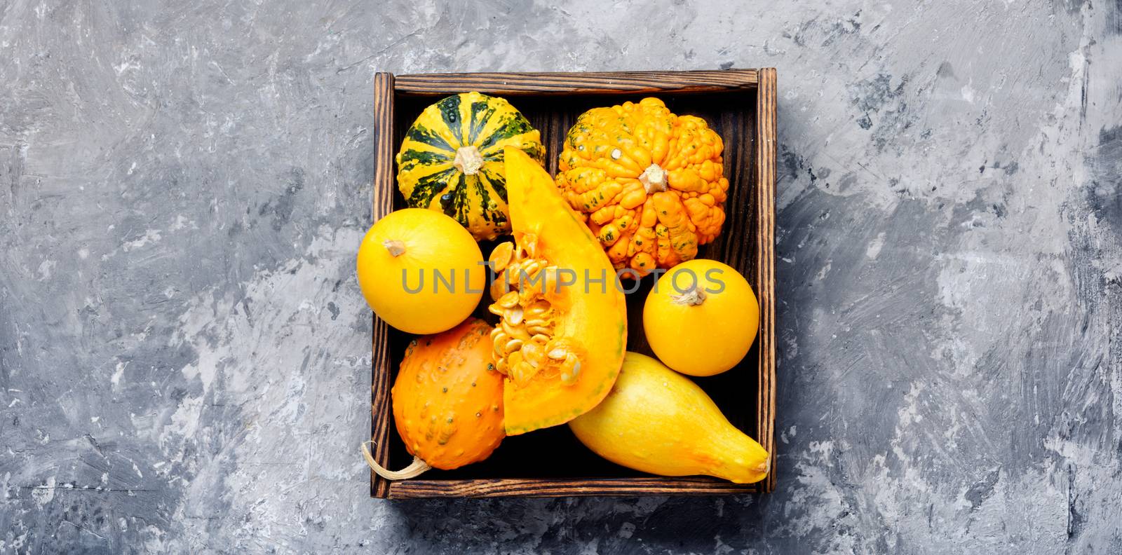Autumn seasonal background with pumpkinsin box.Autumn nature concept.Harvesting
