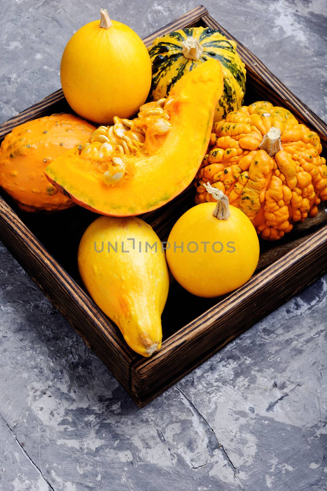 Autumn seasonal background with pumpkinsin box.Autumn nature concept.Harvest