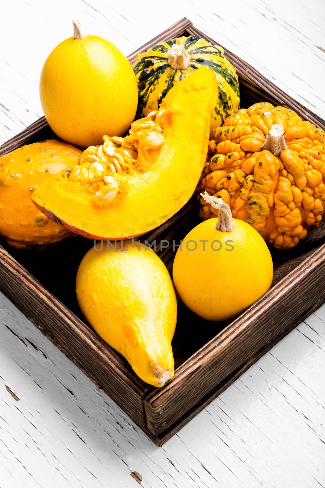 Autumn seasonal background with pumpkinsin box.Autumn nature concept.Harvesting